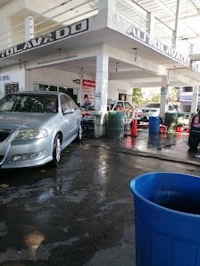 Auto Lavado El Arbol